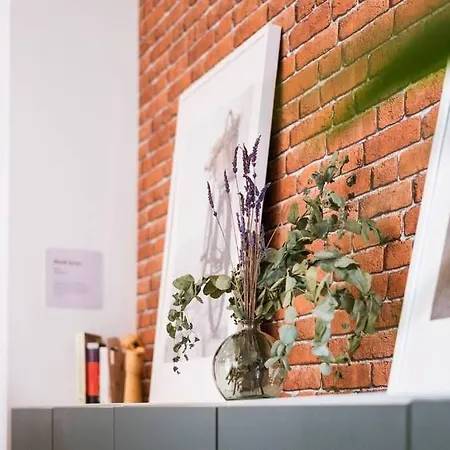 Casa San Miguel Terrace - Centro